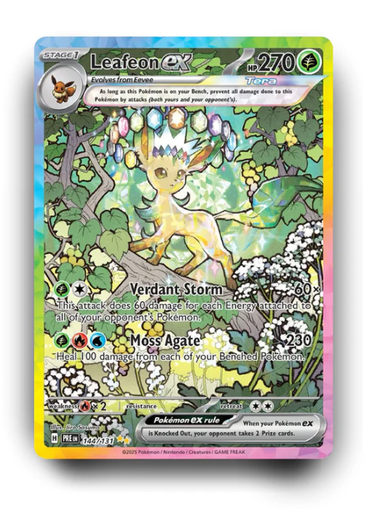 Alfombras Especiales